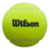 Wilson Padel Premier -24 Wilson ball box - Image 3